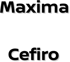 Nissan Maxima / Cefiro