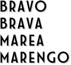 Fiat Bravo / Brava / Marea / Marengo