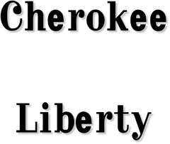 Jeep Cherokee / Liberty